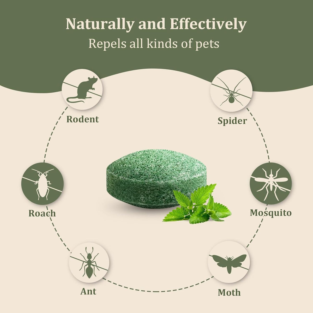 🐀 Rat Repellent for Car Home- [10 tablets] (CL-48)